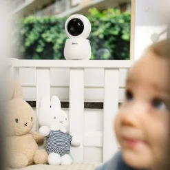Alecto Beeldbabyfoon DVM2043