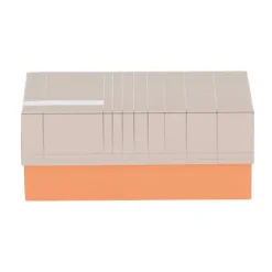 Babypark Exclusief Giftbox Nude Silver / Neon