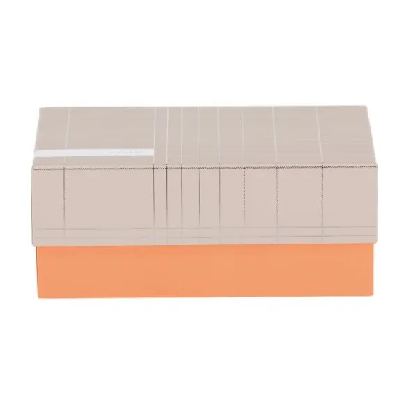 Babypark Exclusief Giftbox Nude Silver / Neon