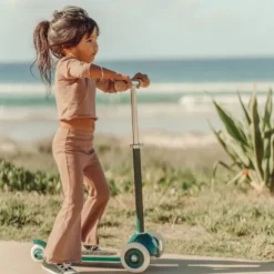 Banwood Step - Pale Mint