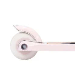 Banwood Step - Pale Mint