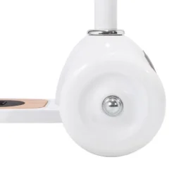 Banwood Step - Pale Mint