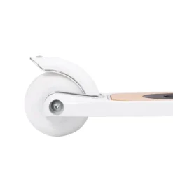 Banwood Step - Pale Mint