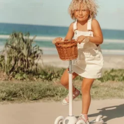 Banwood Step - Pale Mint