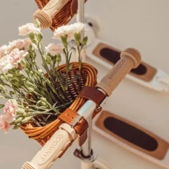 Banwood Step - Pale Mint