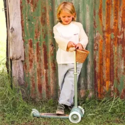 Banwood Step - Pale Mint