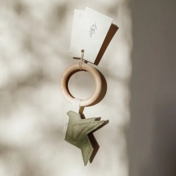 BEZISA Birds Rammelaar Pistache Green