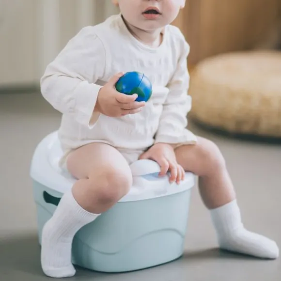 DiaperChamp 3-in-1 Potty - Silver