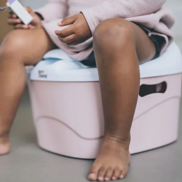 DiaperChamp 3-in-1 Potty - Silver