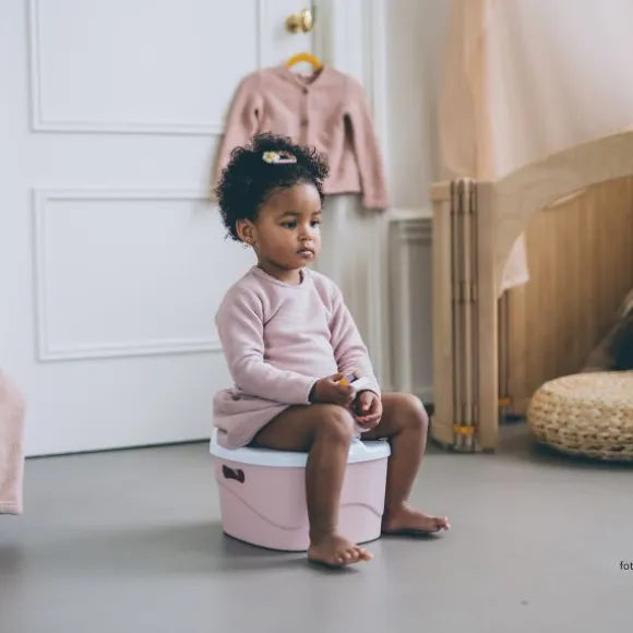 DiaperChamp 3-in-1 Potty - Silver