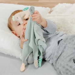 Fehn Knuffeldoekje - Zeepaardje