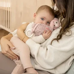 Fehn Muziekdoos – Flamingo