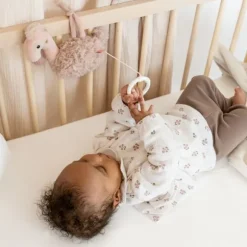 Fehn Muziekdoos – Flamingo