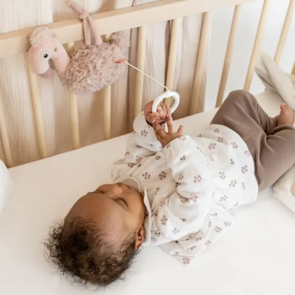 Fehn Muziekdoos – Flamingo