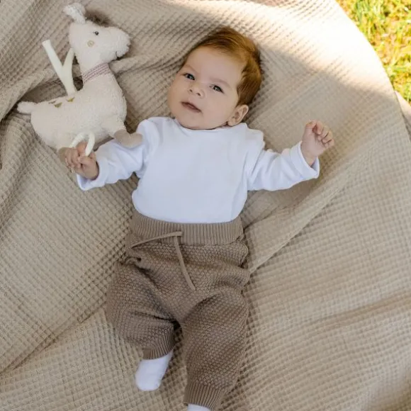 Fehn Muziekdoos – Flamingo