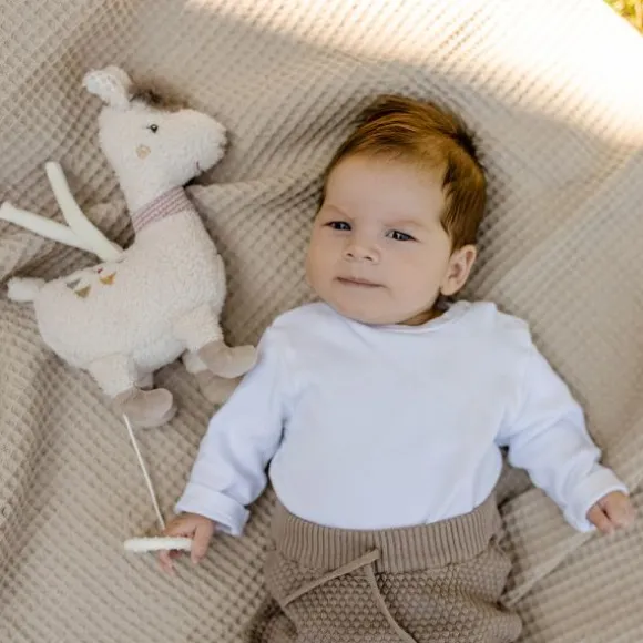 Fehn Muziekdoos – Flamingo