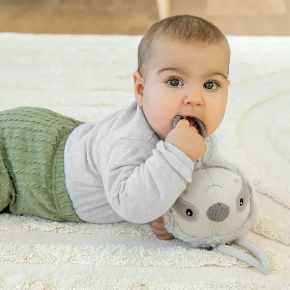 Fehn Muziekdoos – Flamingo