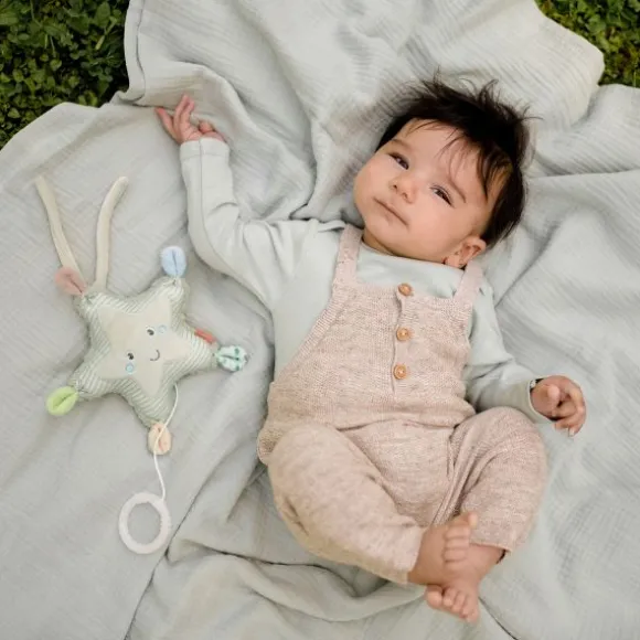 Fehn Muziekdoosje – Luiaard