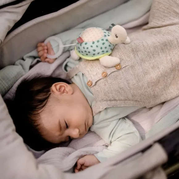 Fehn Muziekdoosje – Luiaard