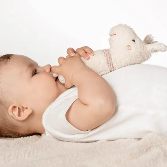 Fehn Stick Rammelaar - Luiaard 16 cm