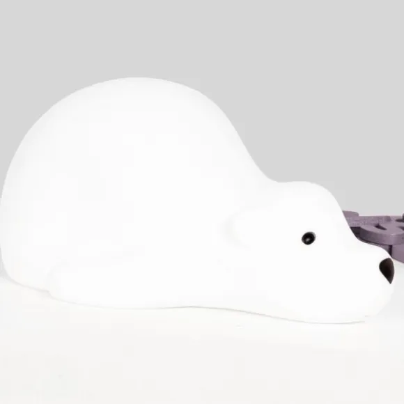 Flow Amsterdam Bjorn Projector