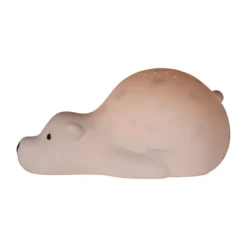 Flow Amsterdam Bjorn Projector