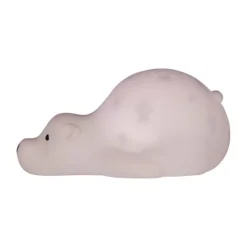 Flow Amsterdam Bjorn Projector