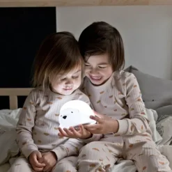 Flow Amsterdam Bjorn Projector