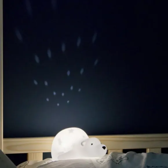 Flow Amsterdam Bjorn Projector