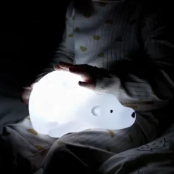 Flow Amsterdam Bjorn Projector