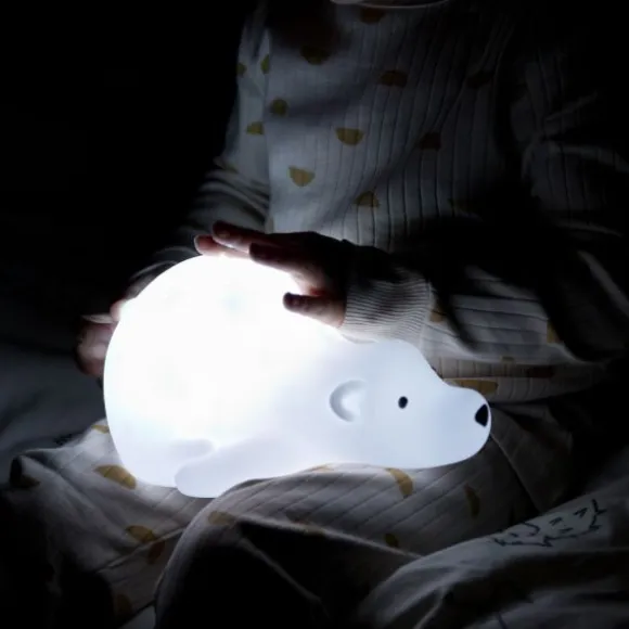 Flow Amsterdam Bjorn Projector