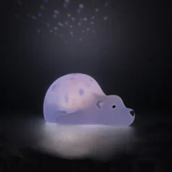 Flow Amsterdam Bjorn Projector