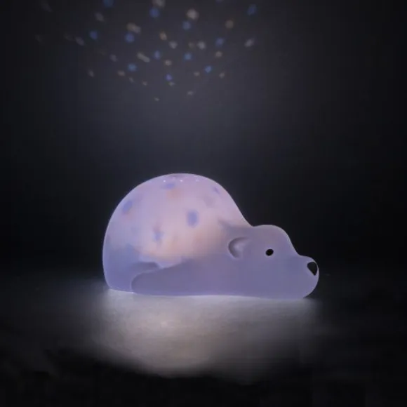 Flow Amsterdam Bjorn Projector