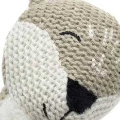 Jollein Fox Rammelaar