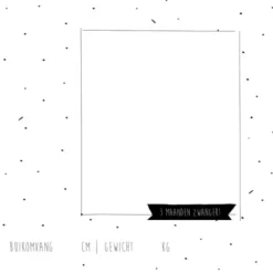 Kidooz Bump Mijn Negen Maanden Boek Linnen Goudfolie