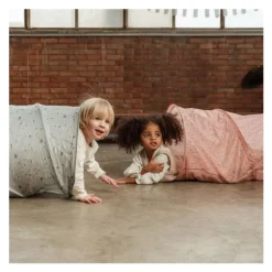 Little Dutch Forest Friends Kruiptunnel