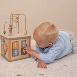 Little Dutch Little Farm Activiteitenkubus