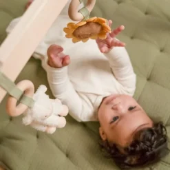 Little Dutch Little Farm Babygym