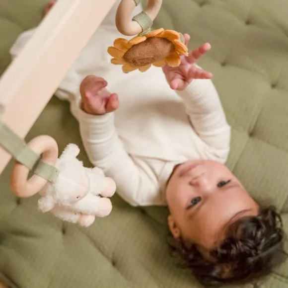 Little Dutch Little Farm Babygym