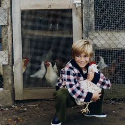 Lorena Canals Kussen – Chicken