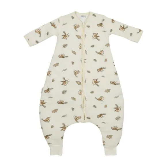 Meyco Baby Slaapzak Jumper Winter Robin Multicolour 80 cm