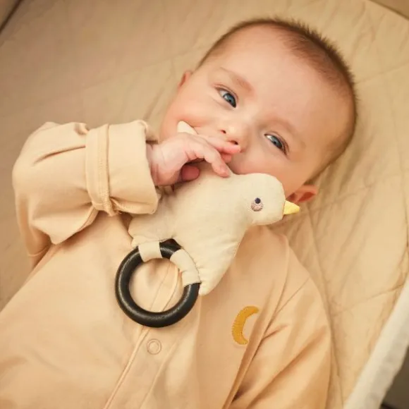 Moonboon Rammelaar - Vogel