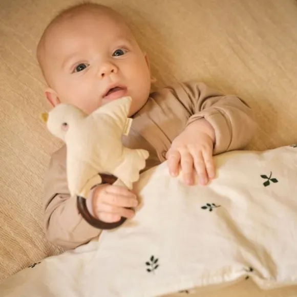 Moonboon Rammelaar - Vogel