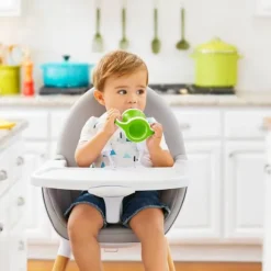 Munchkin Miracle 360° Fruit Infuser Green