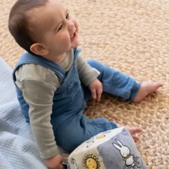 Nijntje Fluffy Activiteitenkubus - Pink