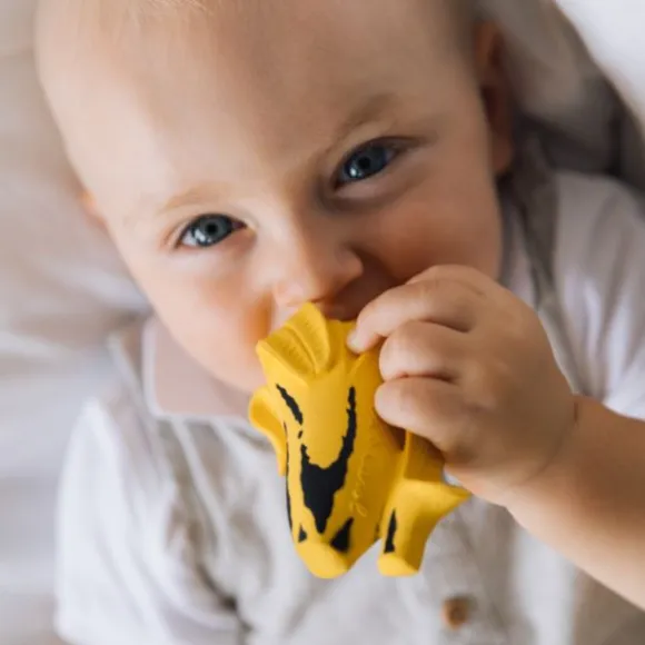 Oli & Carol Bijtspeeltje - Ana Banana