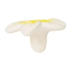 Oli & Carol Hawaï The Flower Bijtspeeltje