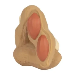 Oli & Carol Paco The Peanut Bijtspeeltje