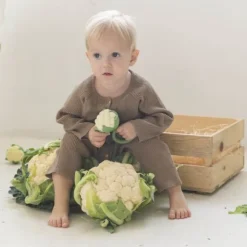 Oli & Carol Rammelaar - Bloemkool