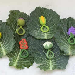 Oli & Carol Rammelaar - Bloemkool